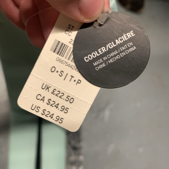 NWT PINK carrying cooler, strap over shoulders, fits about 8-10 cans, teal - Picture 4 of 5